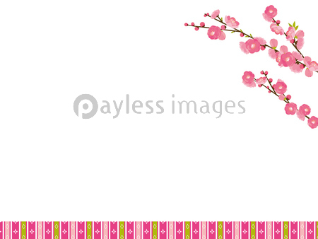 桃の花 ストックフォトの定額制ペイレスイメージズ