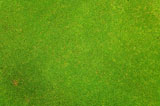 green+grass+texture