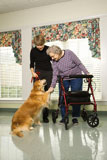 Elderly+woman+with+therapy+dog.