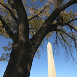 Washington+Monument.