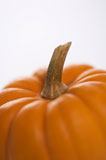 Fall+pumpkin.