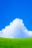 �Ф��𸶤��Ķ�