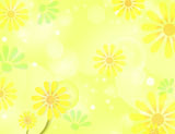 ����ݥ�