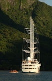 A+luxury+yacht+with+white+sails+in+the+sea%2C+Moorea%2C+Tahiti%2C+French+Polynesia%2C+South+Pacific