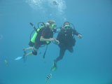 Underwater+view+of+a+young+couple+scuba+diving%2C+Moorea%2C+Tahiti%2C+French+Polynesia%2C+South+Pacific