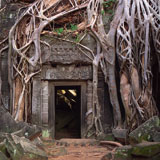 Angkor+Wat%2C+Siem+Reap+Cambodia