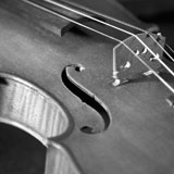 Close+up+of+Violin