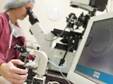 Embryologist+with+microscope+performing+an+intra+cytoplasmic+sperm+injection+%28selective+focus%29