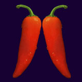 Close-up+of+two+red+chili+peppers