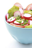blue+bowl+full+of+fresh+vegetables