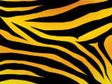 Vector+black+and+orange+stripped+tiger+design