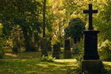 Cemetery+Image+with+Crosses+in+a+Wooded+Area+