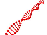 dna+molecule+structure+on+a+white+background