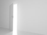 white+door+into+dream