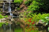 Cascading+waterfall+and+pond+in+japanese+garden+