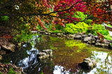 Pond+with+natural+stones+in+japanese+zen+garden+