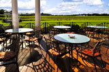 Patio+chairs+and+tables+near+vineyard+at+winery+