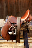 Horse+riders+complements%2C+rigs%2C+mounts%2C+leather+over+wood