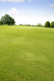 Green+Golf+grass+landscape+in+Texas+leisure+sport+outdoor