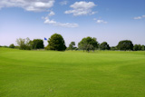 Green+Golf+grass+landscape+in+Texas+leisure+sport+outdoor