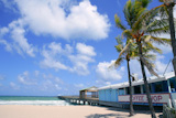 Fort+Lauderdale+beach+cafe+with+tropical+palm+trees+and+blue+sky+++