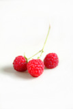 Vignette+of+three+fresh+raspberries+on+white.