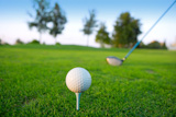 Golf+tee+ball+club+driver+in+green+grass+course+horizon+trees