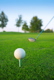 Golf+tee+ball+club+driver+in+green+grass+course+horizon+trees