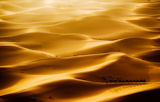 Camel+caravan+going+through+the+sand+dunes+in+the+Sahara+Desert%2C+Erg+Chebbi%2C+Maroc.