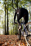 A+male+mountain+biker+on+a+single+track+trail+in+the+woods.+Blur+effect