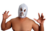 mexican+wrestling+mask+silver+fighter+gesture+isolated+on+white