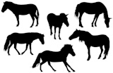 Set+of+detailed+horse+silhouettes