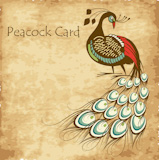 Peacock+Card