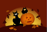 halloween pumpkin, owl and black cat by moon night