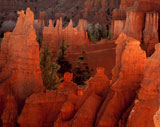Bryce+Canyon+National+Park%2C+Utah