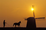 Running+a+Horse+Around+a+Windmill