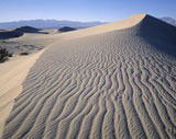 Sand+Dunes