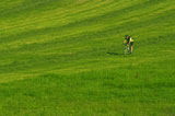 Man+Bicyling+Down+Grassy+Green+Hill