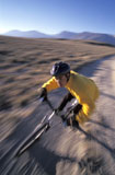 Mountain+Biking+in+the+Desert