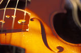 Close+Up+of+a+Violin