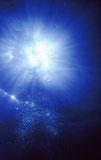 Light+from+underwater