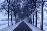 Straight+Winter+Road