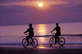 Riding+Bikes+on+the+Beach