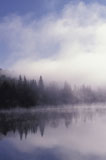 Foggy+Lake+and+Forest