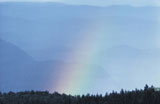 Rainbow+above+forest