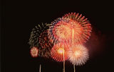 �Ǥ��夲�ֲ�