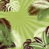 Tropical leafs background