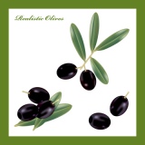 Realistic Olives