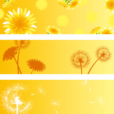 Dandelion banner set