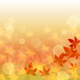 maple of autumn background
